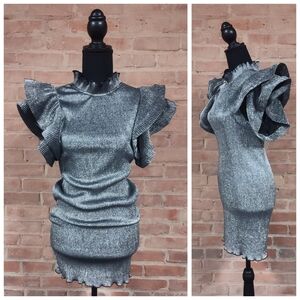 Lovesong | NWOT Elegant Silver Dress With Ruffle Sleeves